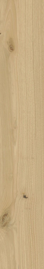 Керамогранит Italon Element Wood Faggio 20x120