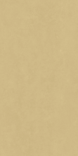 Керамогранит Италон Серфейс Голд Еллоу 600010002373 желтый 80x160