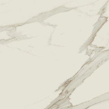 Керамогранит Atlas Concorde Empire Arabescato 60x60 матовый