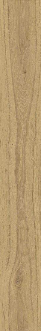 Керамогранит Atlas Concorde Rive Acqua Riva 20x160