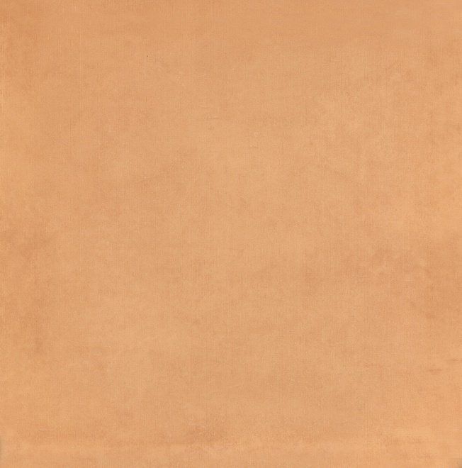 Керамическая плитка Kerama Marazzi 5238 Капри оранжевый 20x20
