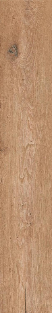 Керамогранит Atlas Concorde Oak Reserve Tamarind 20x120