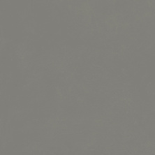 Керамогранит Италон Форум Слим Айрон 610010004139 серый 80x80