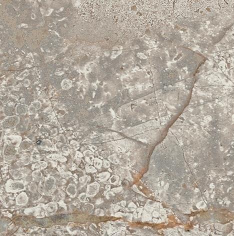 Вставка Atlas Concorde Empire Silver Root 7,2x7,2 лаппатированная