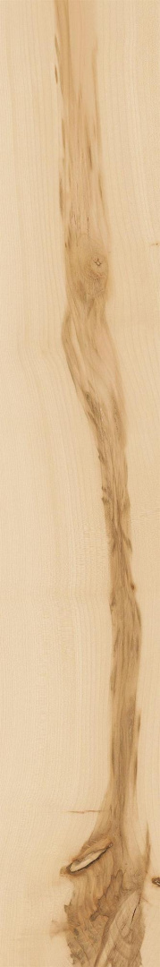 Керамогранит Italon Element Wood Acero 20x120