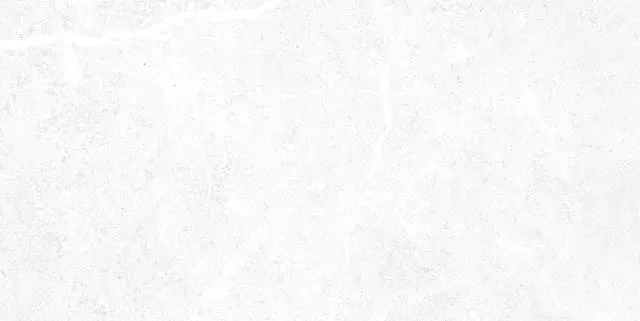 Керамическая плитка Alma Ceramica Мэдисон TWU09TON000 белый 24.9x50