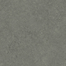 Керамогранит Италон Форум Стоун Айрон 610010004151 серый 80x80