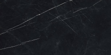 Керамогранит Forte dei Marmi Elegant Black 60x120