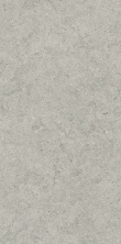 Керамогранит Италон Форум Стоун Сильвер 610010004168 серый 60x120