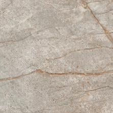 Керамогранит Atlas Concorde Empire Silver Root 60x60 матовый