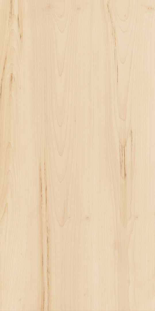 Керамогранит Italon Element Wood Acero 60x120