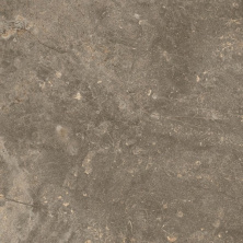 Керамогранит ColiseumGres Cervinia Terra 45x45