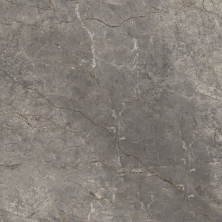 Керамогранит Goldis Tile Sahara Gray N9BA0AHNA0A1LJ серый 60x60