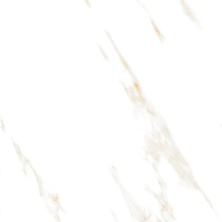 Керамогранит Азарио Calacata Stone 60x60 Matt P3211112135M белый