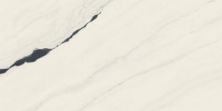 Керамогранит Forte dei Marmi Panda White 60x120