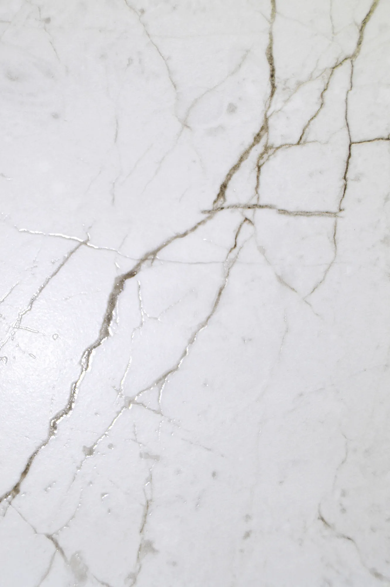 Керамогранит Аркадия Керамика CR4014-A Meteria Silver Carving 60x120 белый