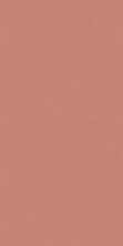 Керамогранит Italon Surface Scarlet 60x120
