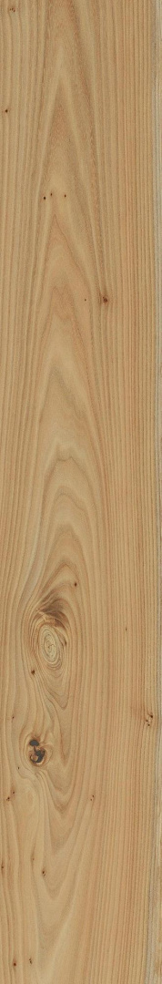 Керамогранит Italon Element Wood Olmo 20x120