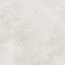 Керамогранит Grasaro Liberty Светло-серый 60x60 G-3014/M/600x600x9
