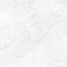 Керамогранит Аркадия Керамика CR6008-A Arctic White Carving 60x60 белый