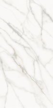 Керамогранит СтароСлэбс Calacatta Supreme Honed 160x320 белый