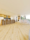 Кварцвиниловая плитка Fine Floor Light FF-1372 Дуб Берген кварц винил напольный