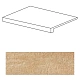 Ступень Trust Gold Scalino ACYV 33x60