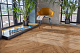 Кварцвиниловая плитка Aqua Floor Parquet Glue AF2518PG 610x122 Дуб Темный замковый кварц винил напольный