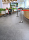 Керамогранит Стоун Цемент Светло-бежевый 60x120 SR