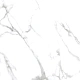 Керамогранит Азарио Desert Statuario 60x60 Matt P3211112134M белый