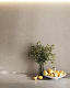 Ступень Kerama Marazzi KM6012G0201RGCF фронтальная клееная Касабланка HP серый светлый матовый обрезной 33x119.5