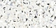 Керамическая плитка Alma Ceramica Билбао TWU09BLB004 разноцветный 24.9x50