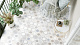 Керамогранит Alma Ceramica Эволюшн GFU04EVL74R разноцветный 60x60