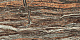 Керамогранит Atlas Concorde Epos Jurassic 60x120
