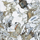 Керамогранит Vitra CityMarble Амазония Мультиколор R9 60x60 лаппатированный